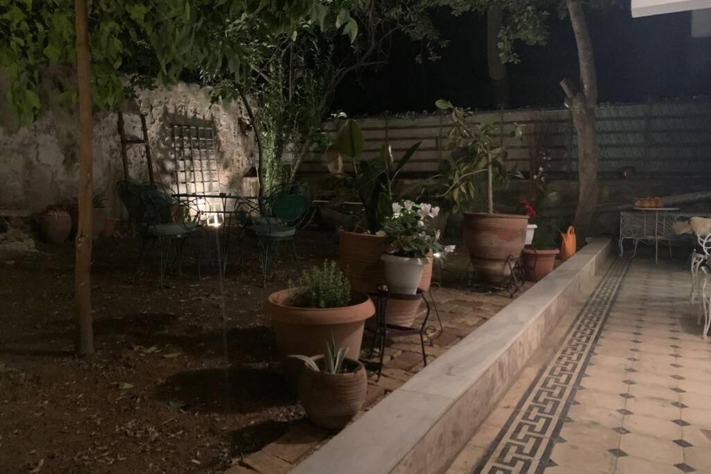 Quiet And Central Flat With Private Backyard Garden أثينا المظهر الخارجي الصورة