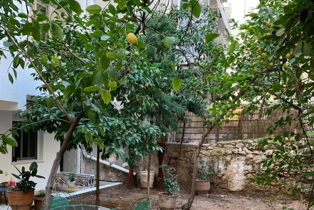 Quiet And Central Flat With Private Backyard Garden أثينا المظهر الخارجي الصورة